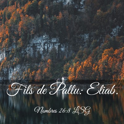 Picture 03 - Nombres 26:8 LSG - Fils de Pallu: - Bible Verse Picture