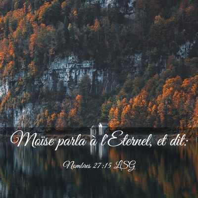 Picture 03 - Nombres 27:15 LSG - Moïse parla à l'Eternel, et - Bible Verse Picture