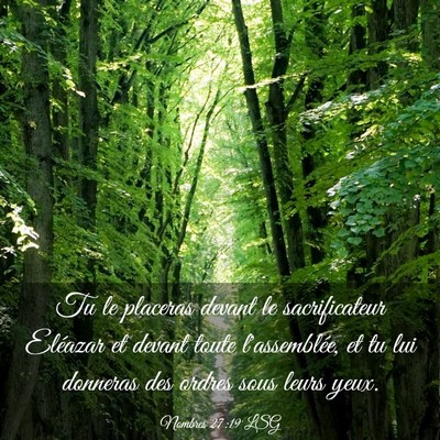 Picture 03 - Nombres 27:19 LSG - Tu le placeras devant le sacrificateur Eléazar - Bible Verse Picture