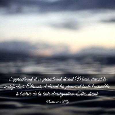 Picture 03 - Nombres 27:2 LSG - s'approchèrent et se présentèrent devant - Bible Verse Picture