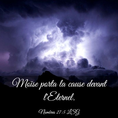 Picture 03 - Nombres 27:5 LSG - Moïse porta la cause devant - Bible Verse Picture
