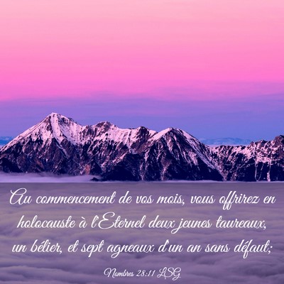 Picture 03 - Nombres 28:11 LSG - Au commencement de vos mois, vous offrirez en - Bible Verse Picture