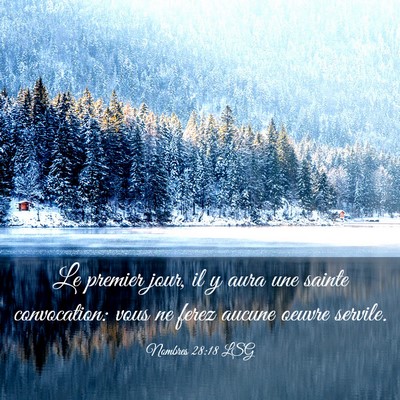 Picture 03 - Nombres 28:18 LSG - Le premier jour, il y aura une sainte - Bible Verse Picture