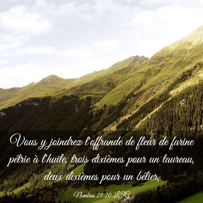 Picture 03 - Nombres 28:20 LSG - Vous y joindrez l'offrande de fleur de farine - Bible Verse Picture