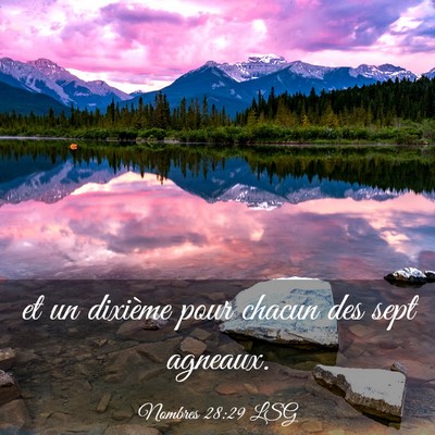 Picture 03 - Nombres 28:29 LSG - et un dixième pour chacun des sept - Bible Verse Picture