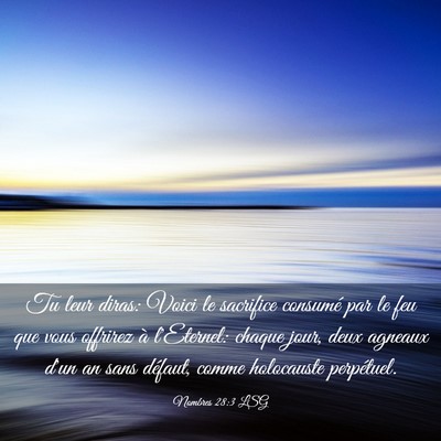 Picture 03 - Nombres 28:3 LSG - Tu leur diras: Voici le sacrifice consumé par le - Bible Verse Picture