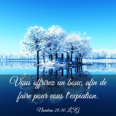 Picture 03 - Nombres 28:30 LSG - Vous offrirez un bouc, afin de faire pour vous - Bible Verse Picture