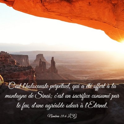Picture 03 - Nombres 28:6 LSG - C'est l'holocauste perpétuel, qui a été offert - Bible Verse Picture