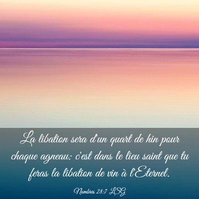 Picture 03 - Nombres 28:7 LSG - La libation sera d'un quart de hin pour chaque - Bible Verse Picture