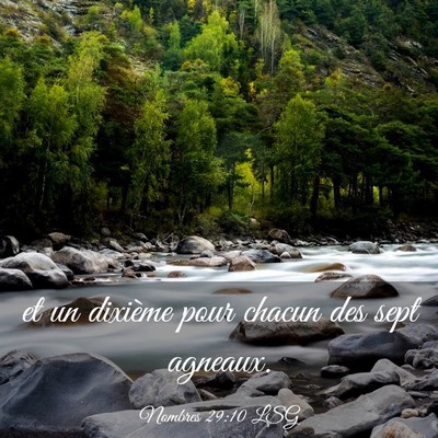 Picture 03 - Nombres 29:10 LSG - et un dixième pour chacun des sept - Bible Verse Picture