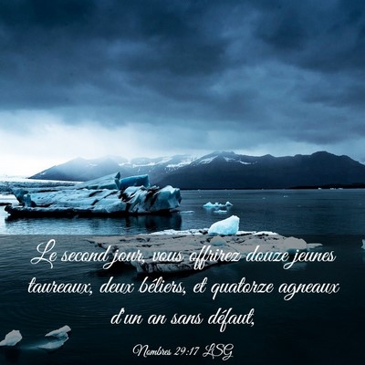 Picture 03 - Nombres 29:17 LSG - Le second jour, vous offrirez douze jeunes - Bible Verse Picture