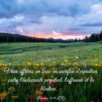 Picture 03 - Nombres 29:19 LSG - Vous offrirez un bouc en sacrifice d'expiation, - Bible Verse Picture