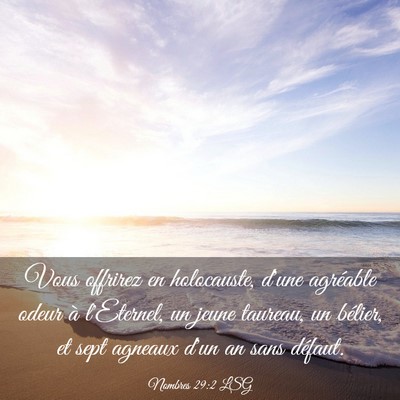 Picture 03 - Nombres 29:2 LSG - Vous offrirez en holocauste, d'une agréable - Bible Verse Picture