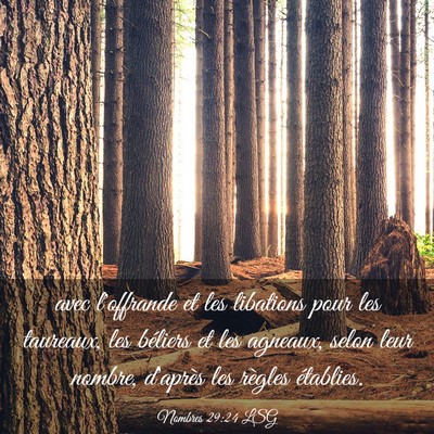 Picture 03 - Nombres 29:24 LSG - avec l'offrande et les libations pour les - Bible Verse Picture