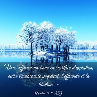 Picture 03 - Nombres 29:25 LSG - Vous offrirez un bouc en sacrifice d'expiation, - Bible Verse Picture