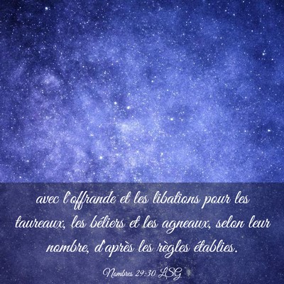 Picture 03 - Nombres 29:30 LSG - avec l'offrande et les libations pour les - Bible Verse Picture