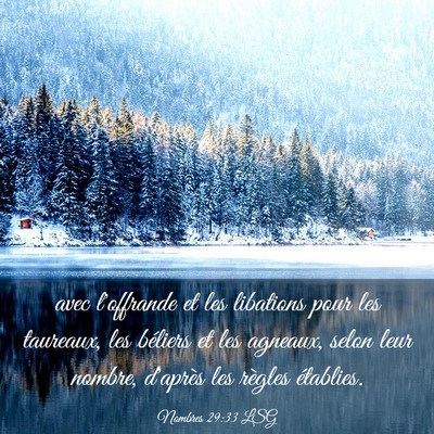 Picture 03 - Nombres 29:33 LSG - avec l'offrande et les libations pour les - Bible Verse Picture
