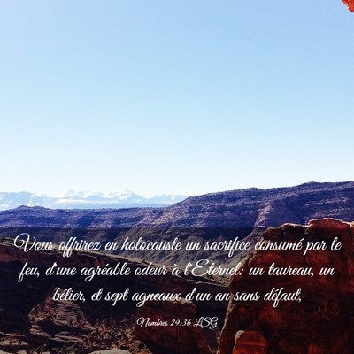 Picture 03 - Nombres 29:36 LSG - Vous offrirez en holocauste un sacrifice consumé - Bible Verse Picture