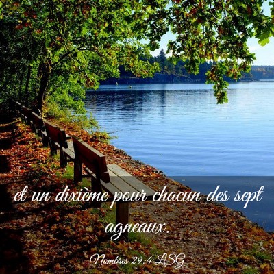 Picture 03 - Nombres 29:4 LSG - et un dixième pour chacun des sept - Bible Verse Picture