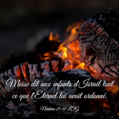 Picture 03 - Nombres 29:40 LSG - Moïse dit aux enfants d'Israël tout ce que - Bible Verse Picture