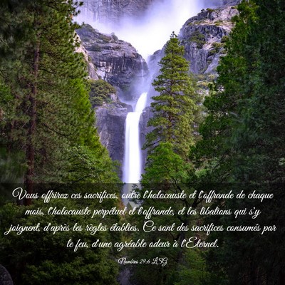 Picture 03 - Nombres 29:6 LSG - Vous offrirez ces sacrifices, outre l'holocauste - Bible Verse Picture
