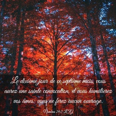 Picture 03 - Nombres 29:7 LSG - Le dixième jour de ce septième mois, vous aurez - Bible Verse Picture