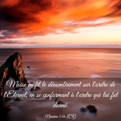Picture 03 - Nombres 3:16 LSG - Moïse en fit le dénombrement sur l'ordre de - Bible Verse Picture