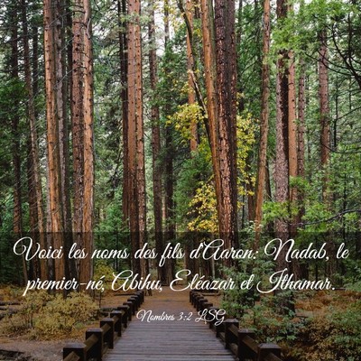 Picture 03 - Nombres 3:2 LSG - Voici les noms des fils d'Aaron: Nadab, le - Bible Verse Picture