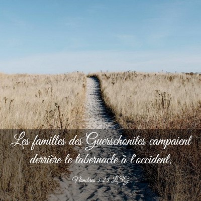 Picture 03 - Nombres 3:23 LSG - Les familles des Guerschonites campaient - Bible Verse Picture