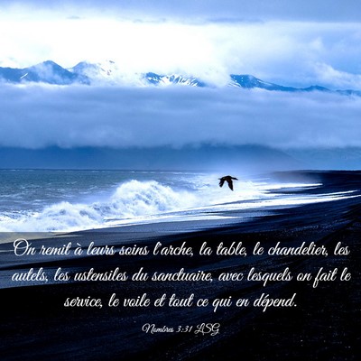 Picture 03 - Nombres 3:31 LSG - On remit à leurs soins l'arche, la table, le - Bible Verse Picture