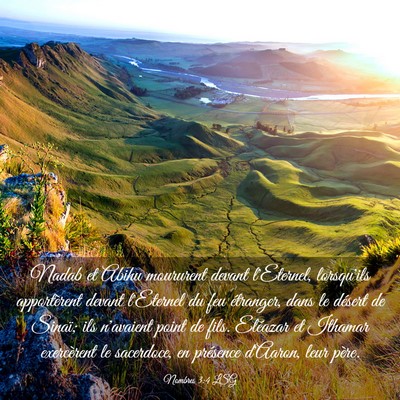 Picture 03 - Nombres 3:4 LSG - Nadab et Abihu moururent devant l'Eternel, - Bible Verse Picture