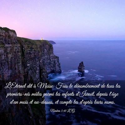 Picture 03 - Nombres 3:40 LSG - L'Eternel dit à Moïse: Fais le dénombrement de - Bible Verse Picture