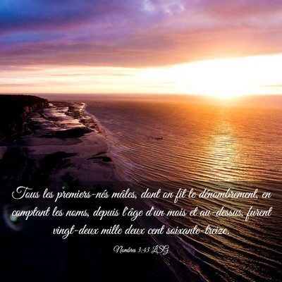 Picture 03 - Nombres 3:43 LSG - Tous les premiers-nés mâles, dont on fit le - Bible Verse Picture