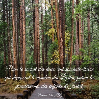 Picture 03 - Nombres 3:46 LSG - Pour le rachat des deux cent soixante-treize qui - Bible Verse Picture