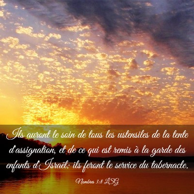 Picture 03 - Nombres 3:8 LSG - Ils auront le soin de tous les ustensiles de la - Bible Verse Picture