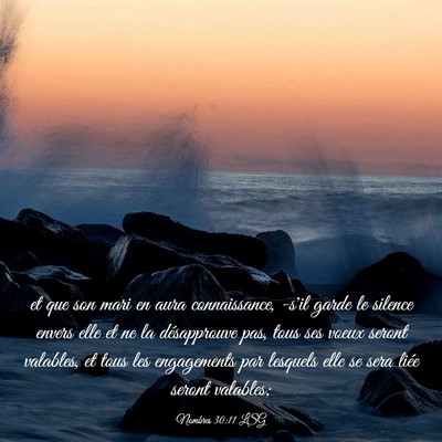 Picture 03 - Nombres 30:11 LSG - et que son mari en aura connaissance, -s'il garde - Bible Verse Picture