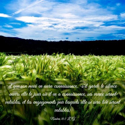 Picture 03 - Nombres 30:7 LSG - et que son mari en aura connaissance, -s'il garde - Bible Verse Picture