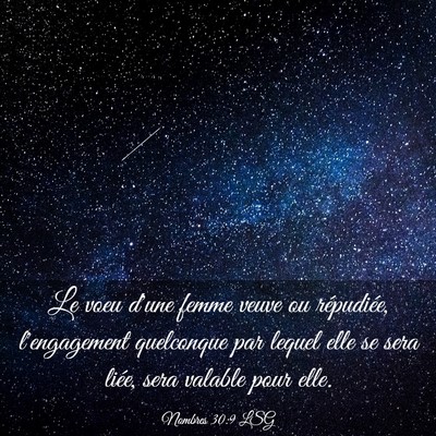 Picture 03 - Nombres 30:9 LSG - Le voeu d'une femme veuve ou répudiée, - Bible Verse Picture