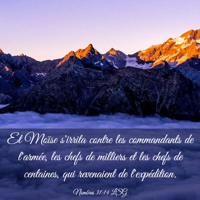 Picture 03 - Nombres 31:14 LSG - Et Moïse s'irrita contre les commandants de - Bible Verse Picture