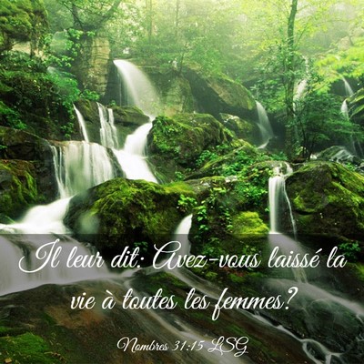 Picture 03 - Nombres 31:15 LSG - Il leur dit: Avez-vous laissé la vie à toutes - Bible Verse Picture