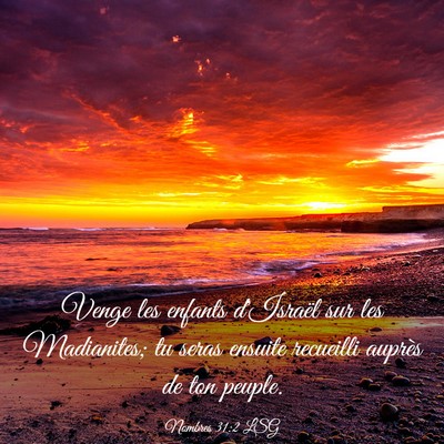 Picture 03 - Nombres 31:2 LSG - Venge les enfants d'Israël sur les Madianites; - Bible Verse Picture