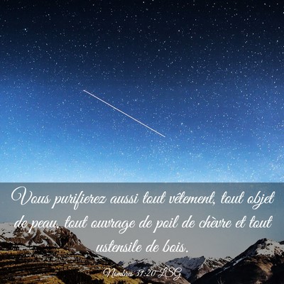Picture 03 - Nombres 31:20 LSG - Vous purifierez aussi tout vêtement, tout objet - Bible Verse Picture