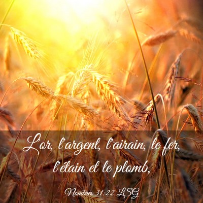 Picture 03 - Nombres 31:22 LSG - L'or, l'argent, l'airain, le fer, l'étain et le - Bible Verse Picture