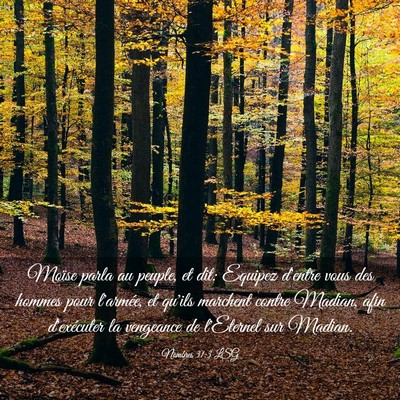 Picture 03 - Nombres 31:3 LSG - Moïse parla au peuple, et dit: Equipez d'entre - Bible Verse Picture