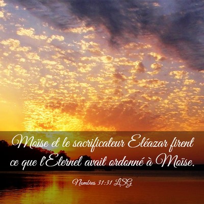 Picture 03 - Nombres 31:31 LSG - Moïse et le sacrificateur Eléazar firent ce que - Bible Verse Picture