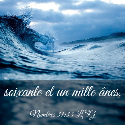 Picture 03 - Nombres 31:34 LSG - soixante et un mille - Bible Verse Picture
