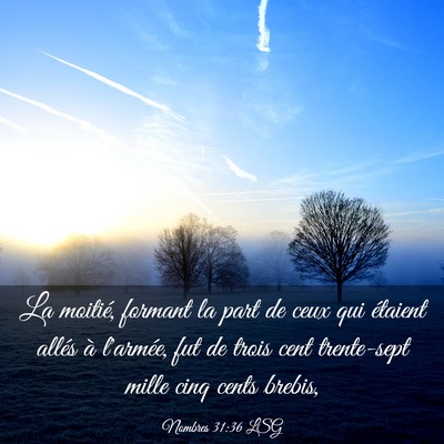 Picture 03 - Nombres 31:36 LSG - La moitié, formant la part de ceux qui étaient - Bible Verse Picture