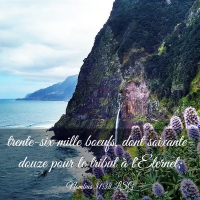 Picture 03 - Nombres 31:38 LSG - trente-six mille boeufs, dont soixante-douze pour - Bible Verse Picture