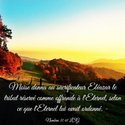 Picture 03 - Nombres 31:41 LSG - Moïse donna au sacrificateur Eléazar le tribut - Bible Verse Picture