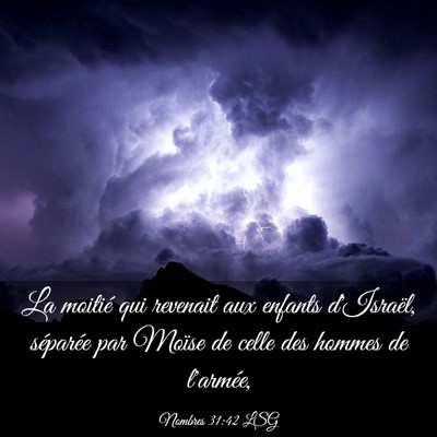 Picture 03 - Nombres 31:42 LSG - La moitié qui revenait aux enfants d'Israël, - Bible Verse Picture